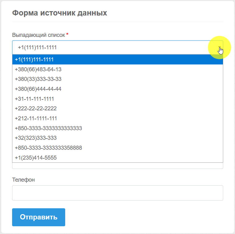Источник данных FormDesigner 12