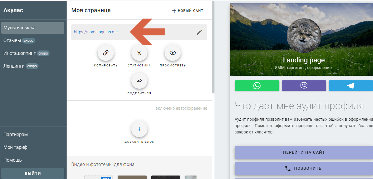 Настройки будущей Landing page
