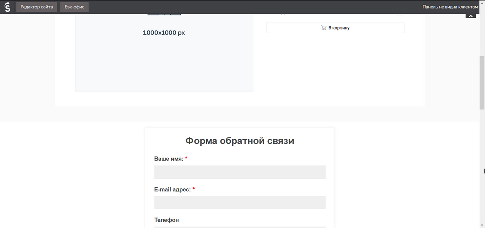 Добавление формы на сайт интернет-магазина InSales 9