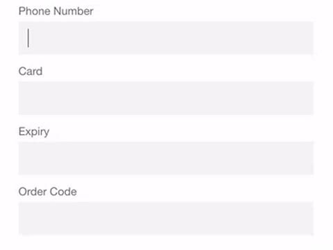Entry masks in web forms