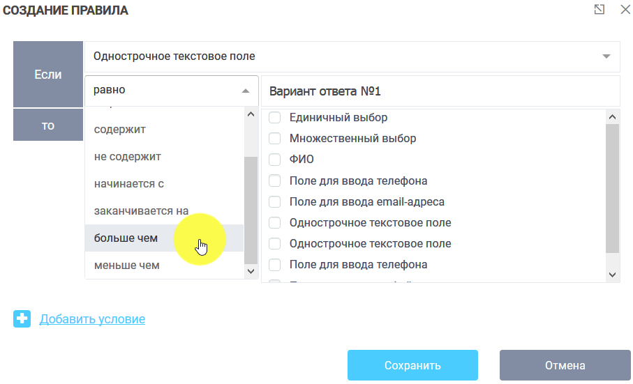 Правила для полей формы 19