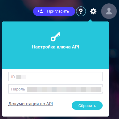 Настройка ключа API